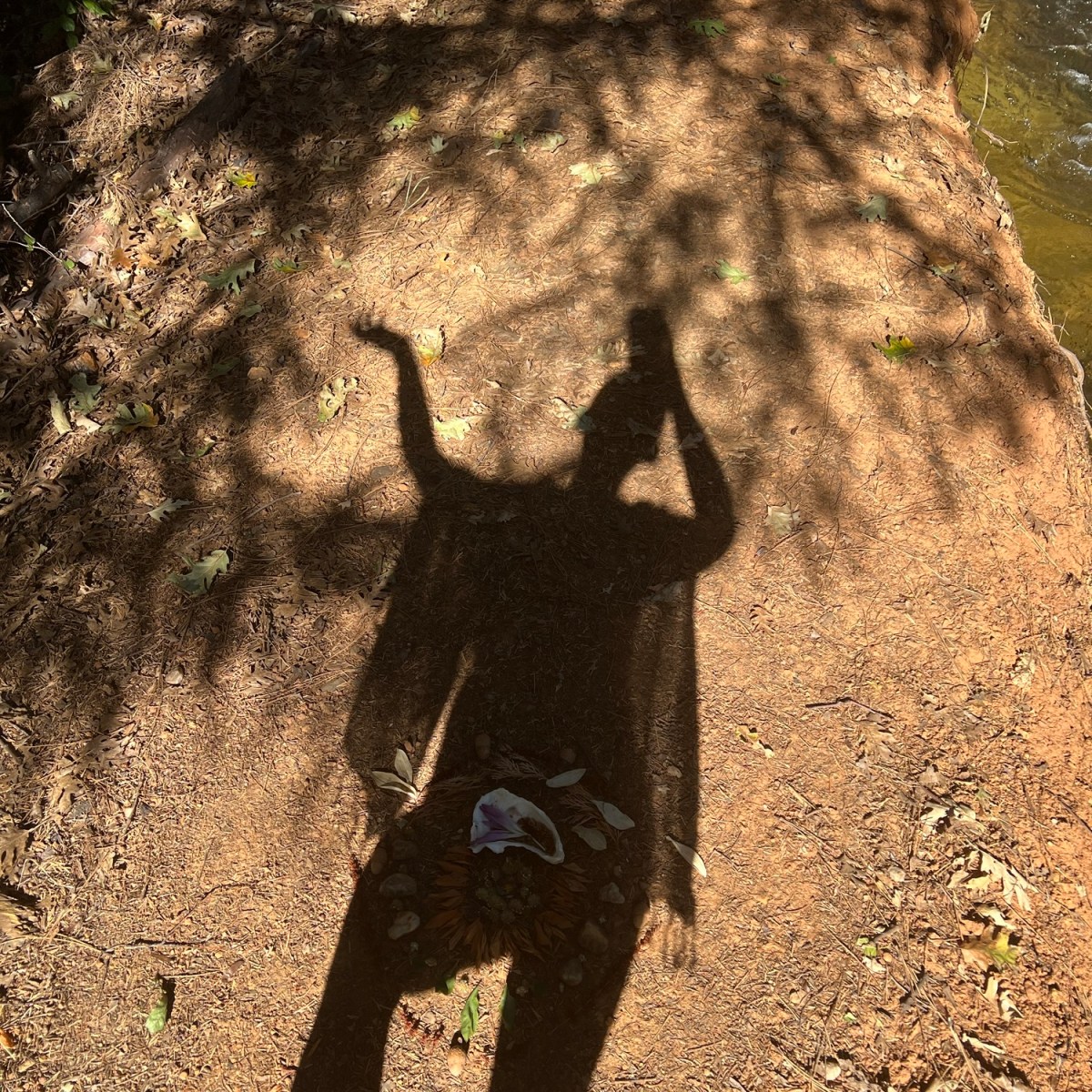 Samhain, New Moon in Scorpio + the Annual Fall&nbsp;Back