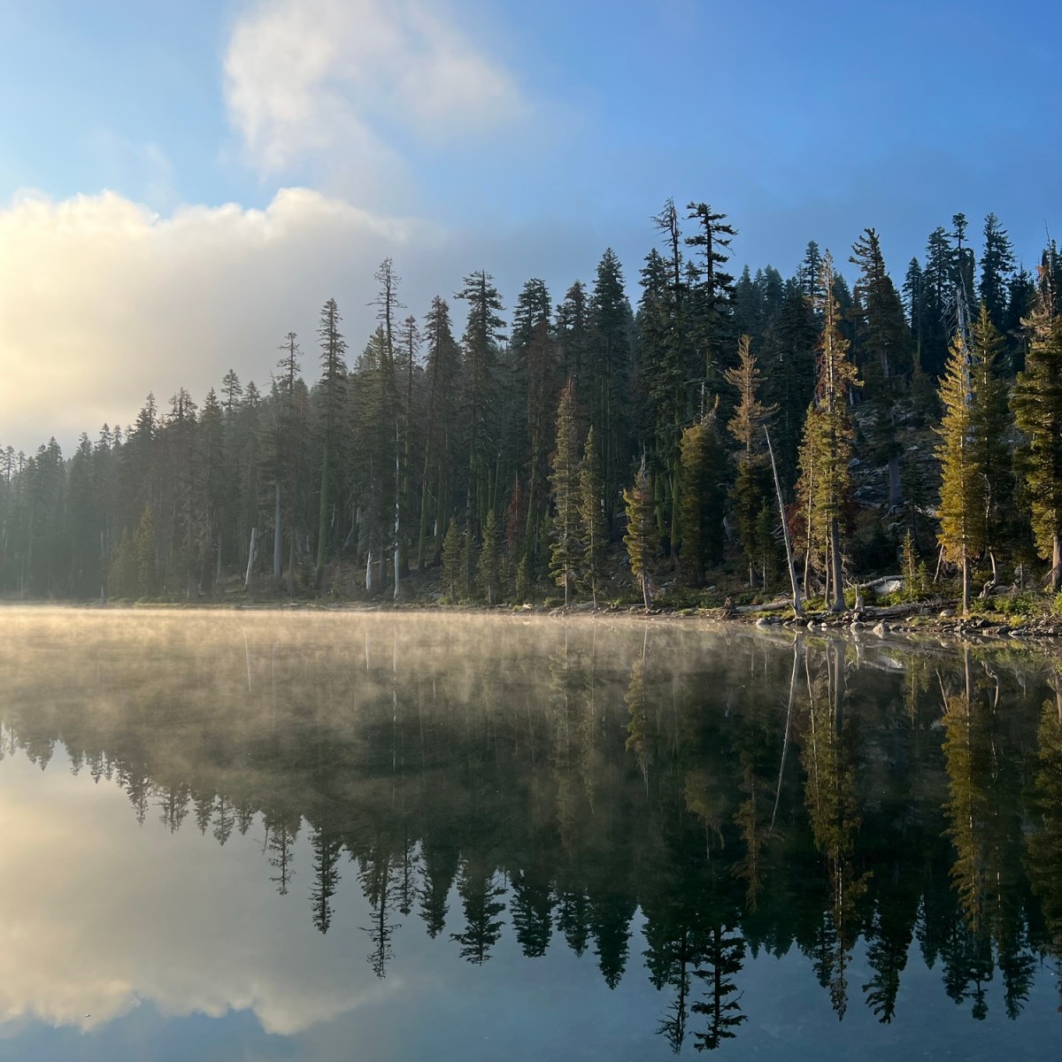 A love letter to Mother&nbsp;Earth